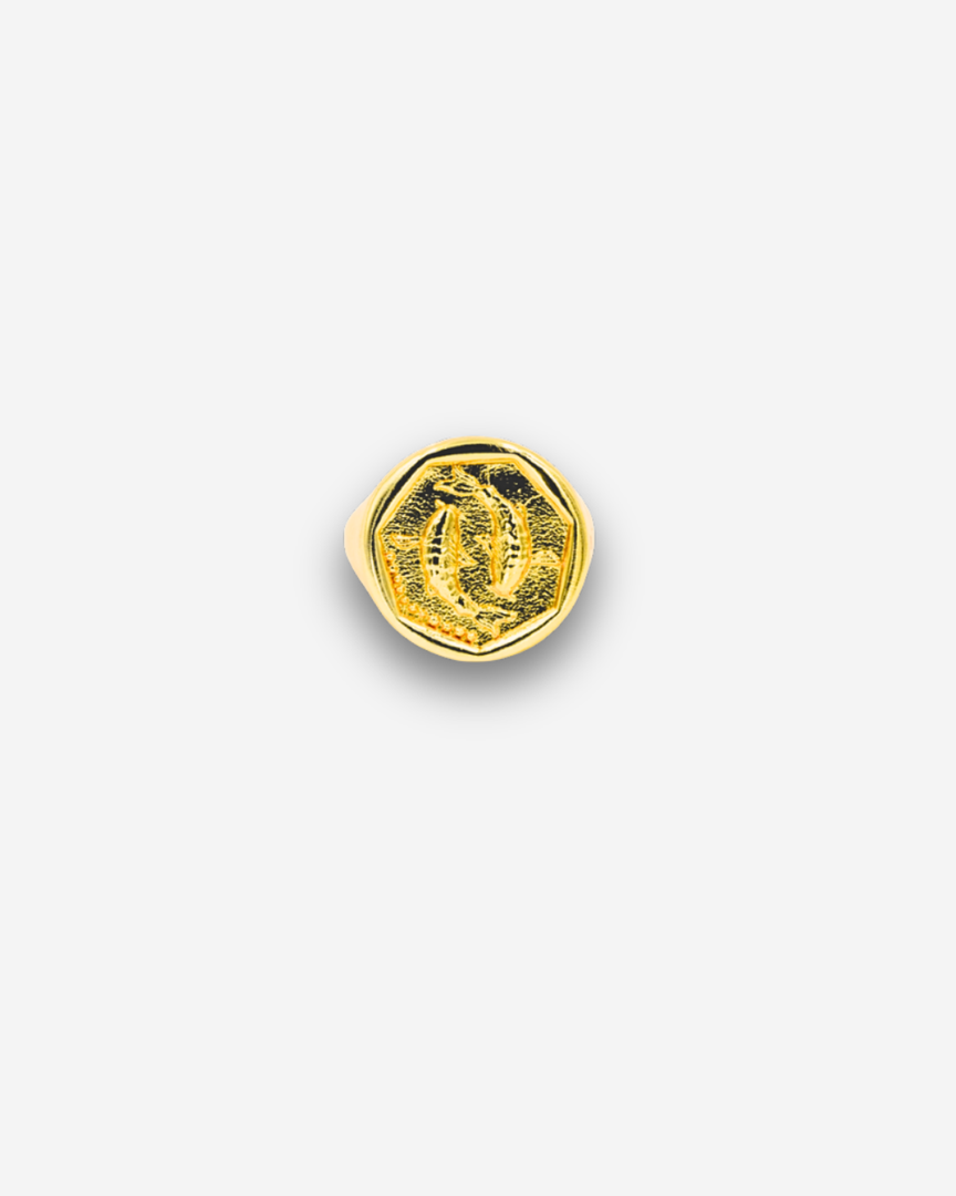 Zodiac Ring - Pisces
