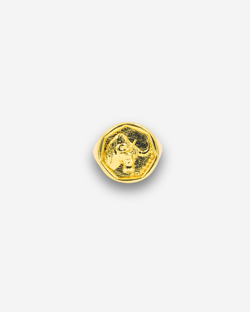 Zodiac Ring - Taurus