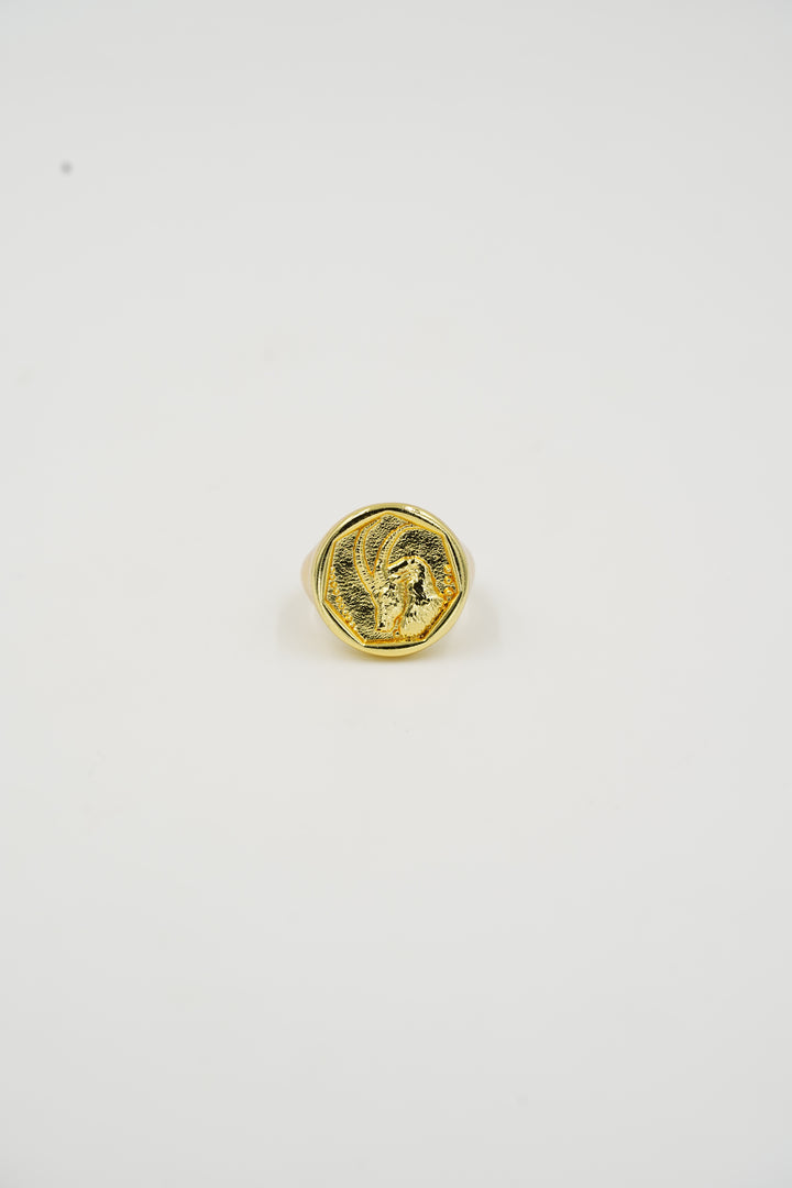 Zodiac Ring - Capricorn