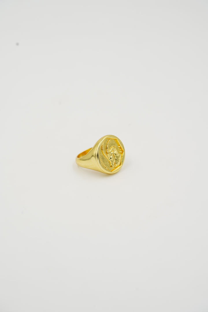 Zodiac Ring - Capricorn