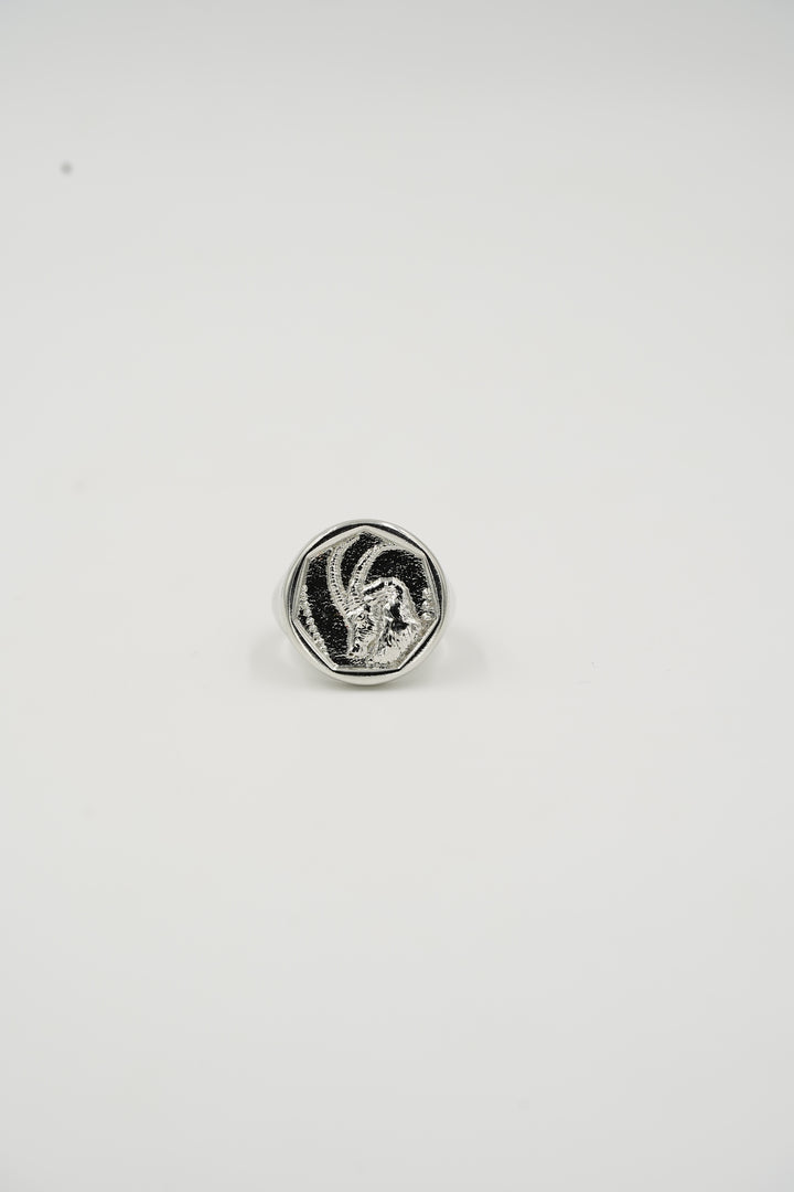 Zodiac Ring - Capricorn