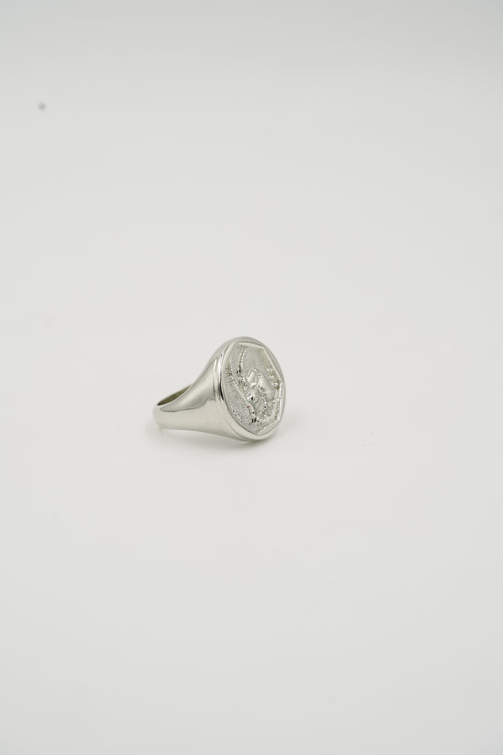 Zodiac Ring - Capricorn