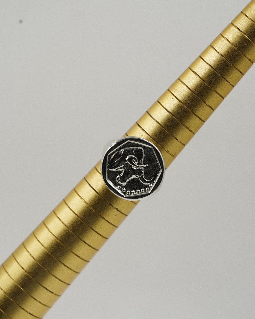 Zodiac Ring - Taurus