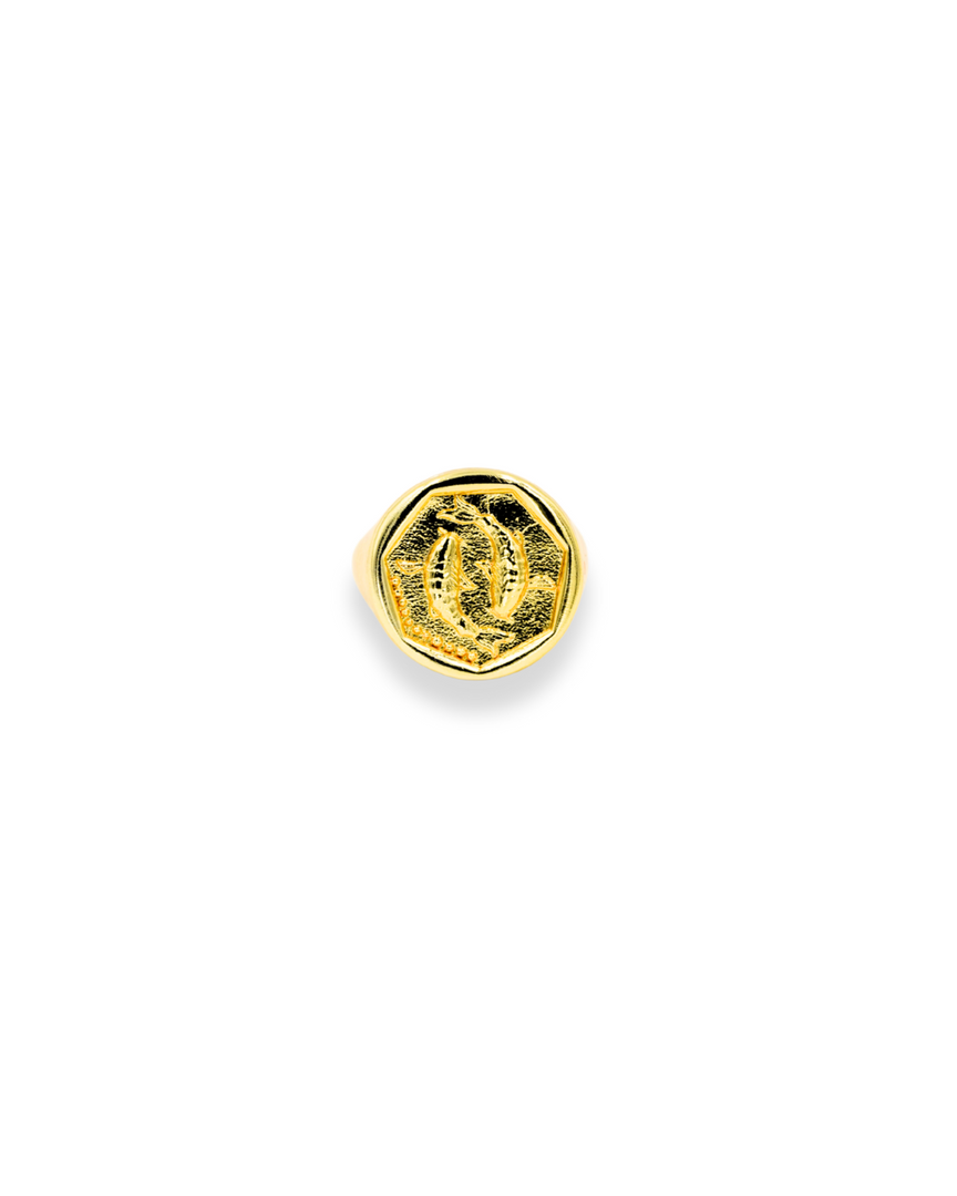 Zodiac Ring - Pisces
