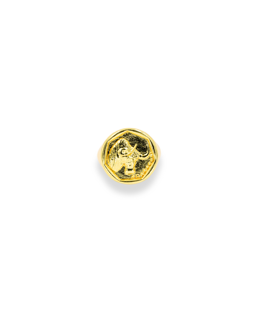 Zodiac Ring - Taurus
