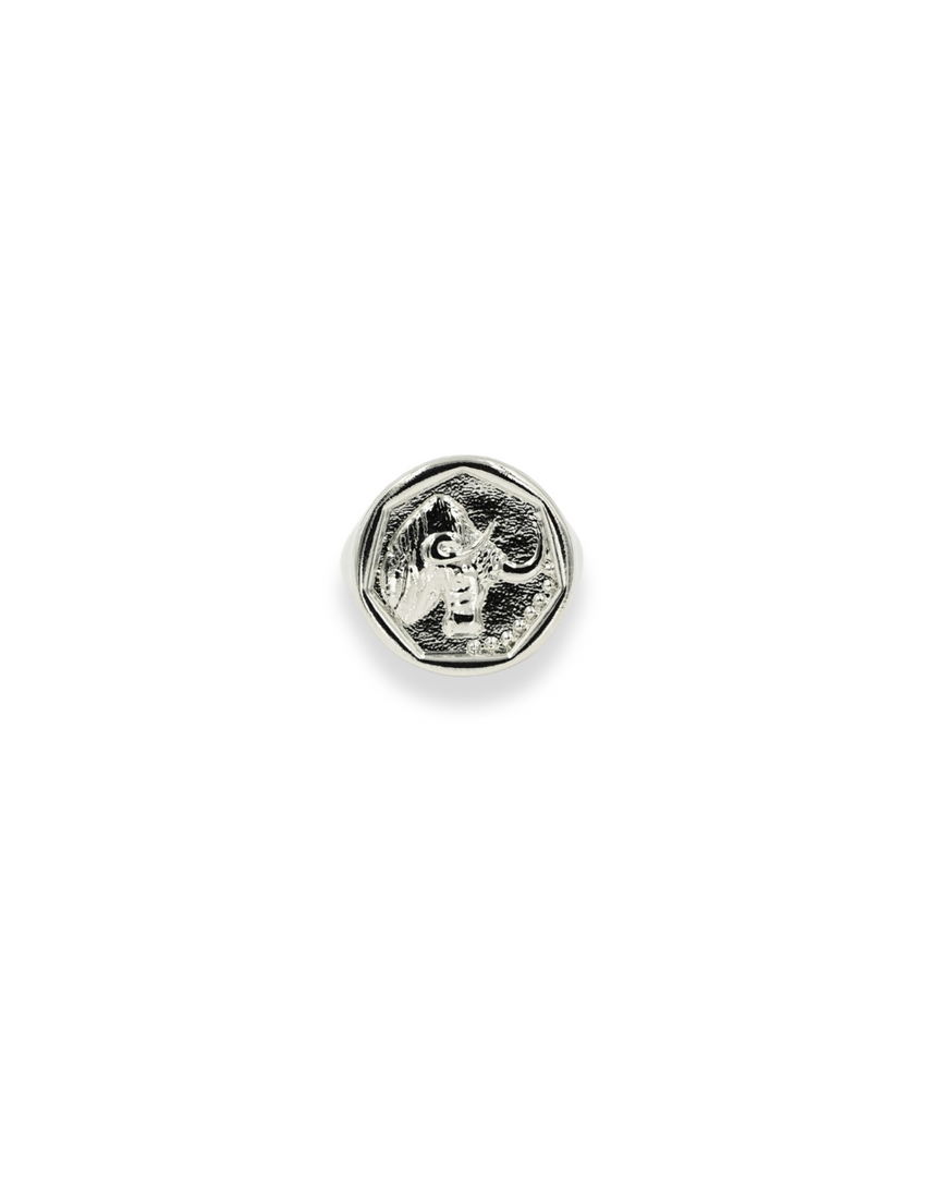 Zodiac Ring - Taurus