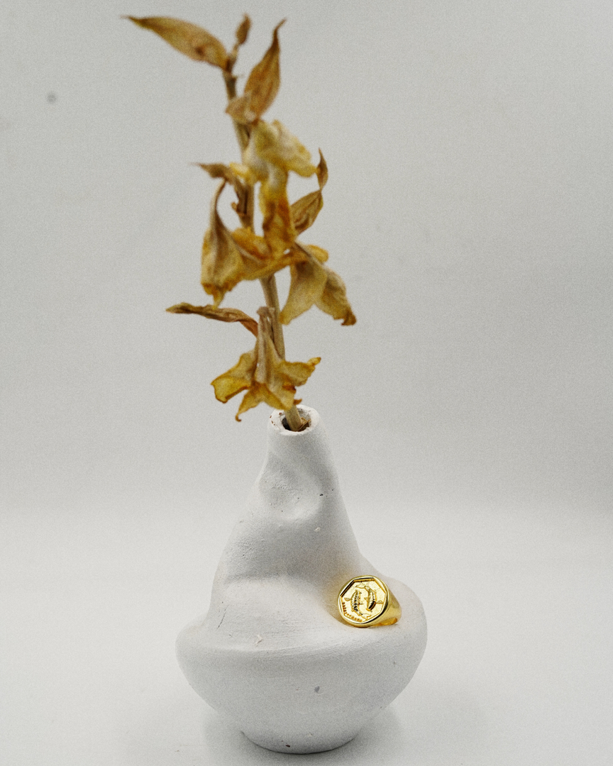 Zodiac Ring - Pisces
