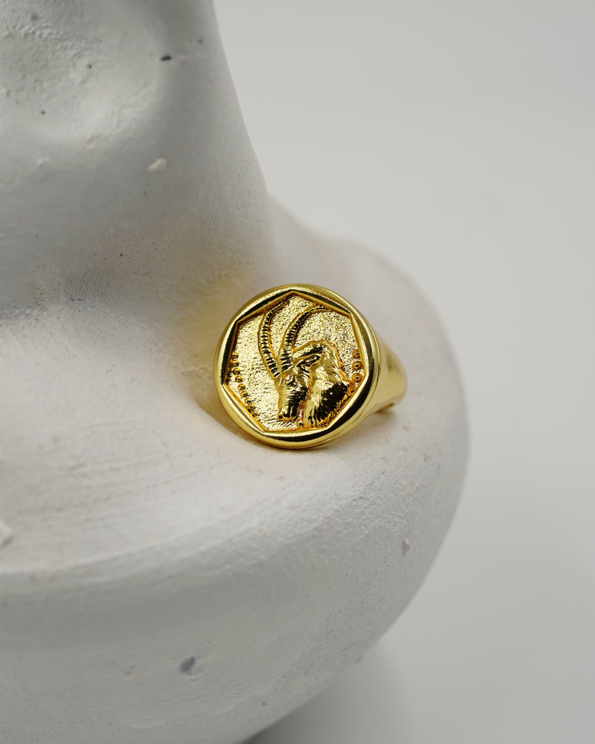Zodiac Ring - Capricorn